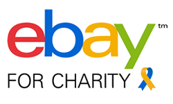 eBay for Charity
